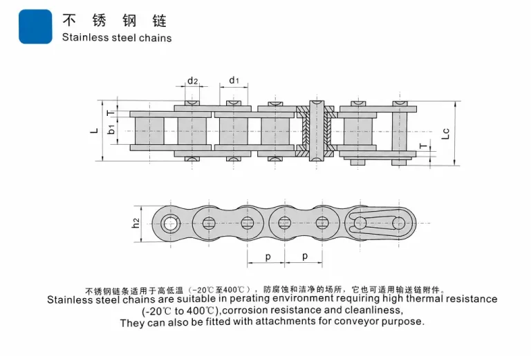 Stainless Steel Roller Chain Manufacturer for Corrosion-Resistant Applications