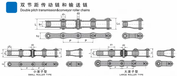 Double pitch transmission and conveyor roller chain with small roller and large roller types
