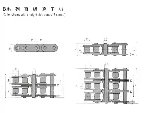 B Series Roller Chain Manufacturer for Industrial Power Transmission