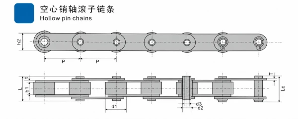 Hollow Pin Roller Chain Manufacturer | Conveyor Chain Supplier