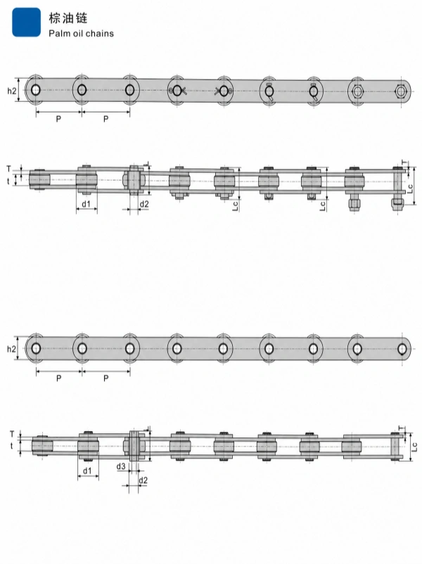 Palm Oil Chains for Palm Oil Mills | FFB, EFB and Fruit Elevators